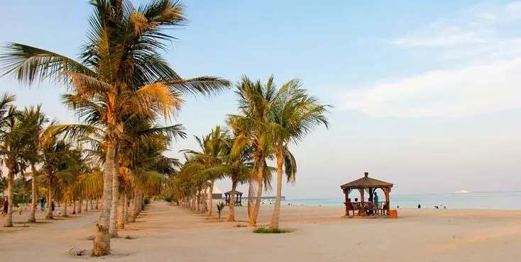 انواع شرکت ها در کیش